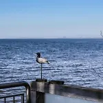 Ark At Anchor